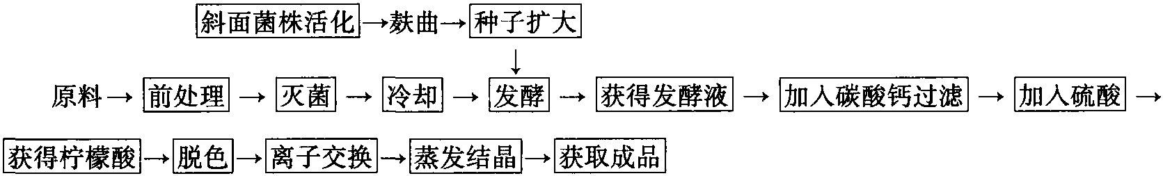 二、霉菌在食品中的應(yīng)用